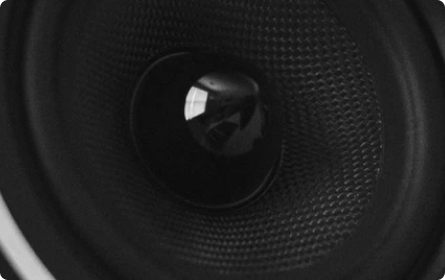 Zoomed speakers ZX7